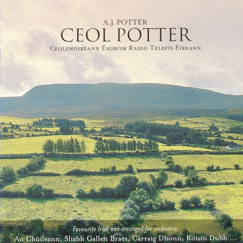 RTE Orchestra Play Arrangements By Archie Potter - Ceol Potter