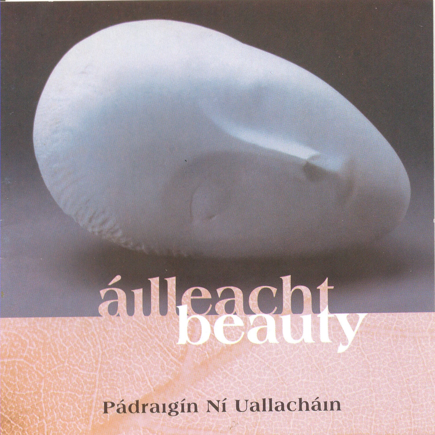 Pádraigín Ní Uallacháin - Áilleacht