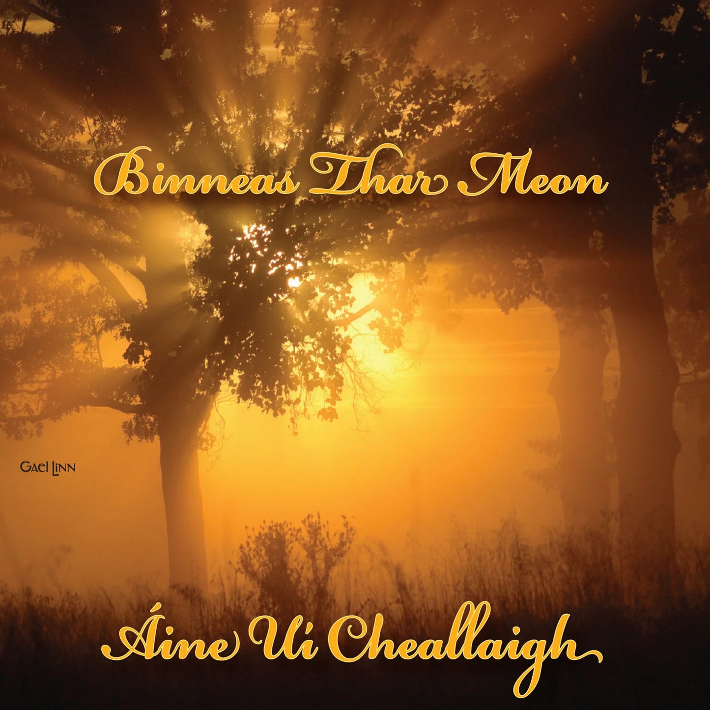 Áine Uí Cheallaigh - Binneas Thar Meon