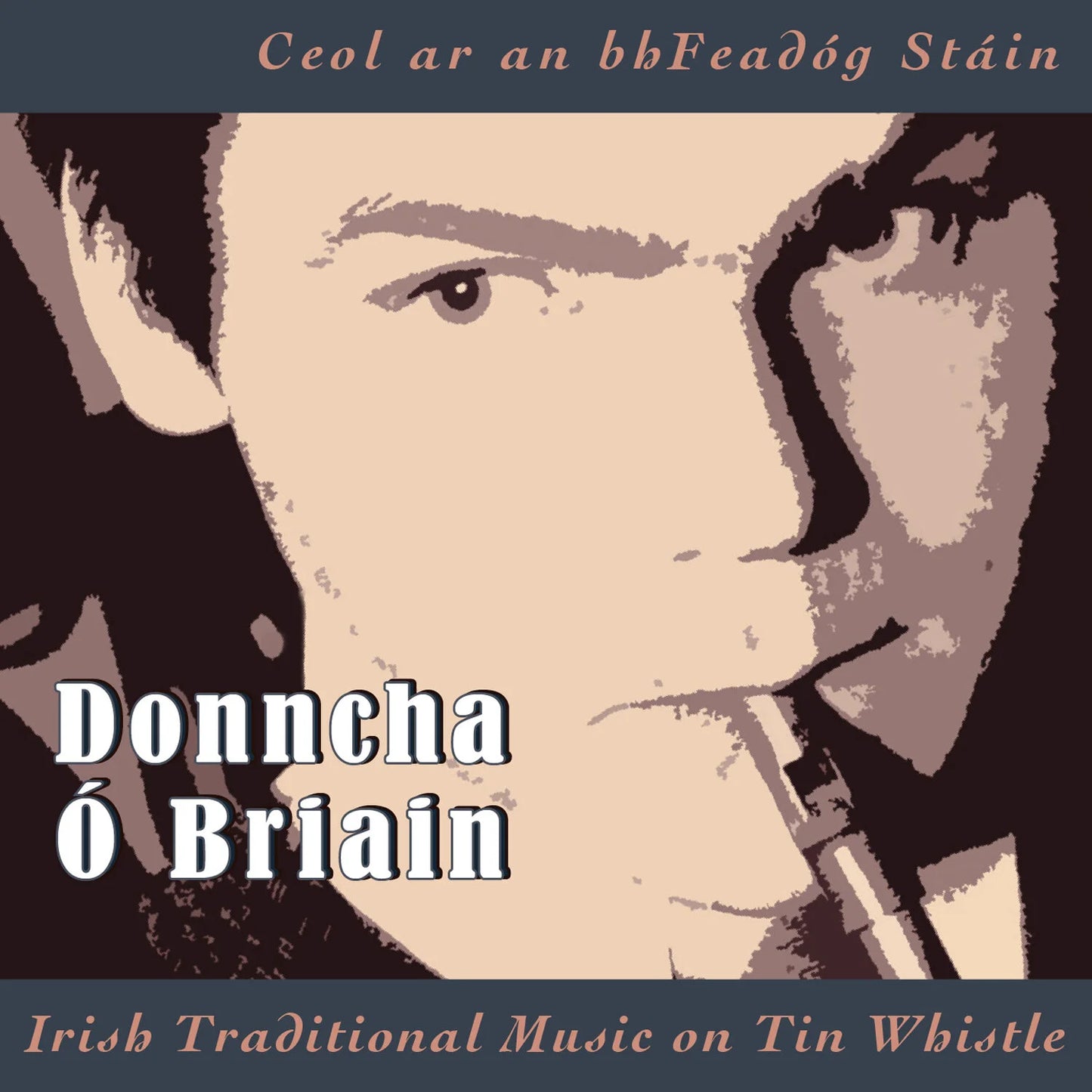 Donncha Ó Briain - Irish Traditional Music On Tin Whistle