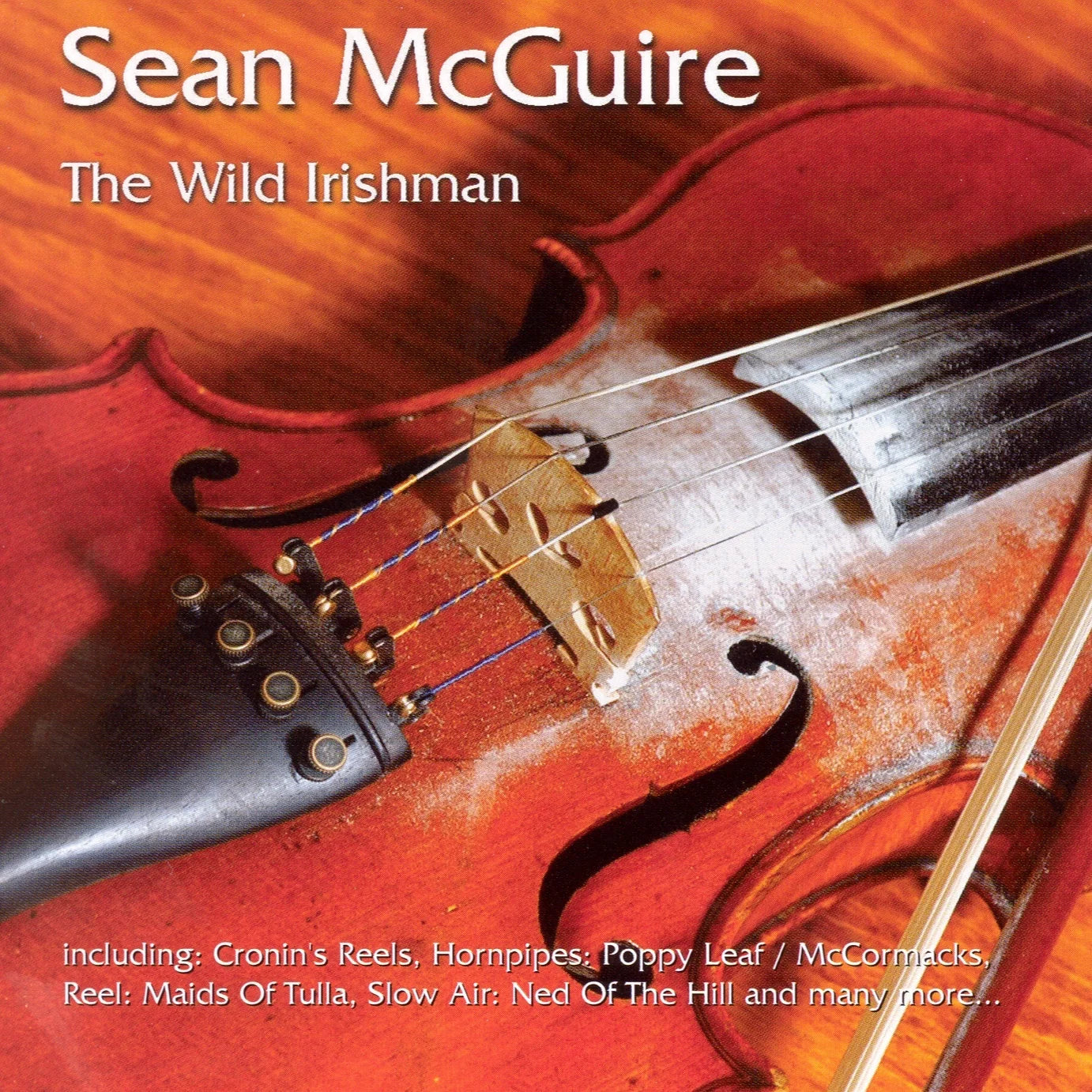 Sean McGuire - The Wild Irishman