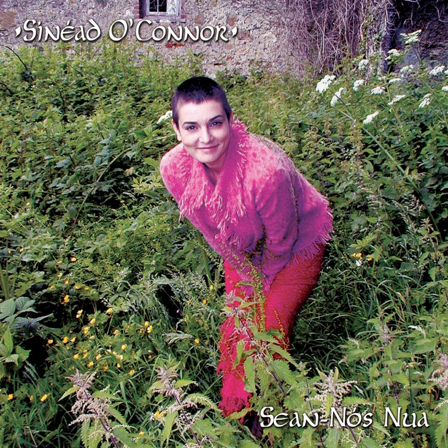 Sinead O'Connor - Sean Nos Nua