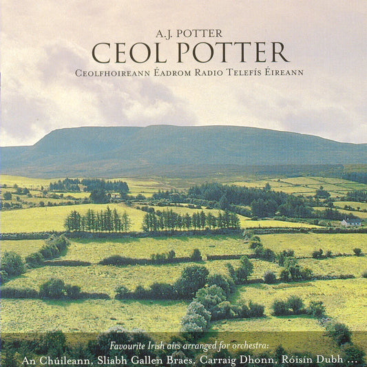 RTE Orchestra Play Arrangements By Archie Potter - Ceol Potter
