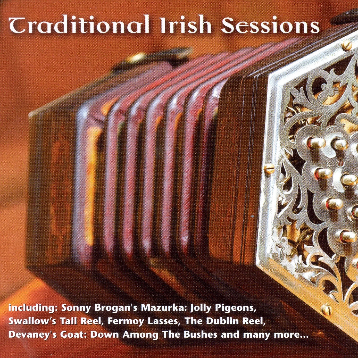 Various Artists - Traditional Irish Sessions